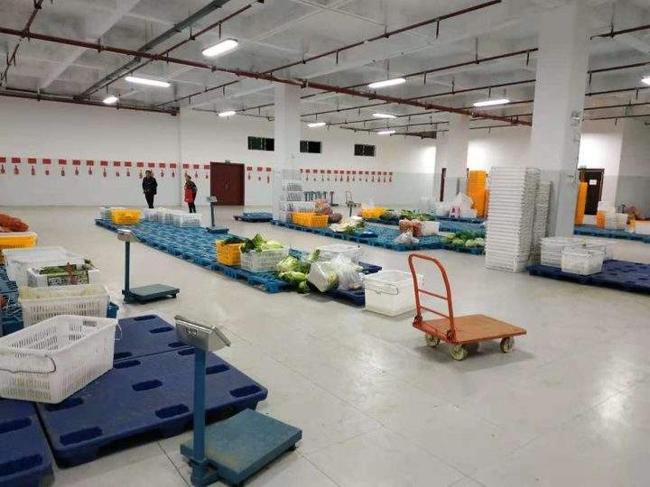 生鮮系統 生鮮系統